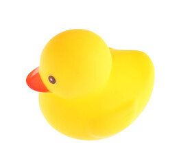One cute rubber duck isolated on white