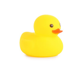 One cute rubber duck isolated on white