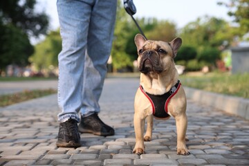 Man with his cute French bulldog in park, closeup