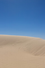 Desert Ripples and Blue Sky Panorama