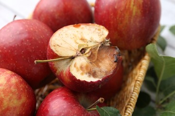 Spoiled apple and good ones in basket on table, closeup