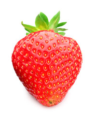 One fresh ripe strawberry isolated on white