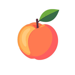Colorful Peach Illustration