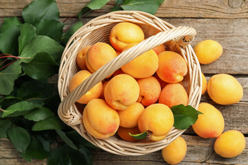 Fresh apricots in wicker basket and green leaves on wooden table, flat lay