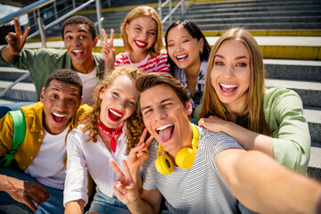 Group of diverse young friends taking a joyful selfie together outdoors while enjoying time on a...