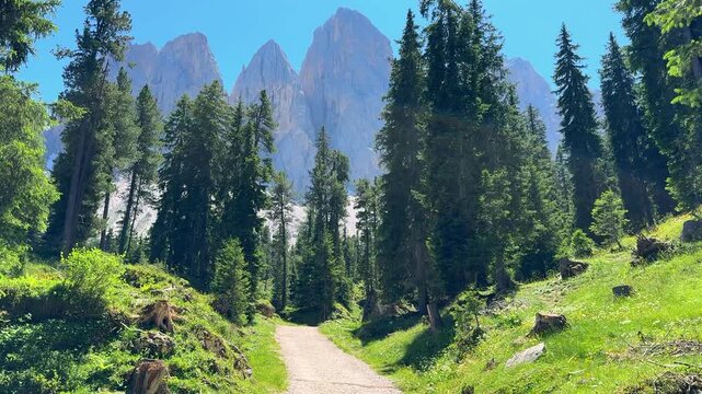 Peaceful forest mountain trail opens to a breathtaking view of the majestic Dolomites near Rifugio delle Odle, perfect for hiking, nature lovers, and alpine adventures in South Tyrol
