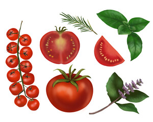 A watercolour illustration featuring tomatoes, cherry tomatoes on a vine, tomato slices, basil leaves, rosemary. A perfect culinary herb and vegetable composition on a transparent background. 