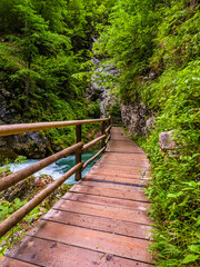 Wooden bridge over river at Vintgar Gorge, Slovenia