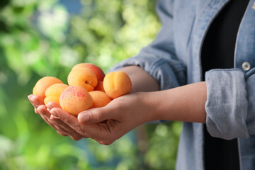 Woman with fresh ripe apricots outdoors, closeup