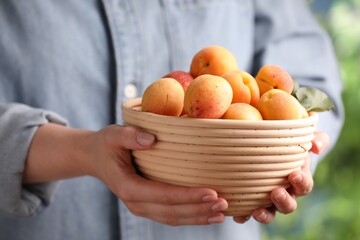 Woman with bowl of fresh ripe apricots outdoors, closeup