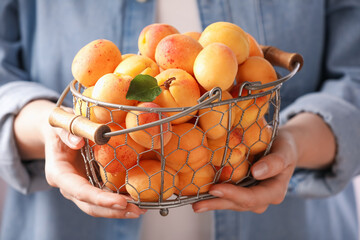 Woman with metal basket of fresh ripe apricots, closeup