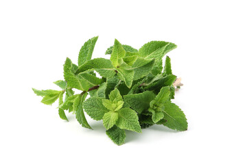 Twigs of fresh green mint isolated on white