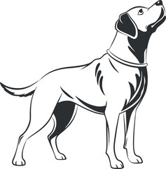 Fototapeta premium vector illustration of a dog white background