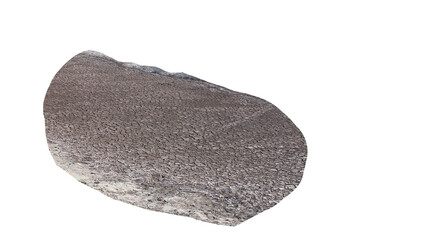 Dried, Cracked Earth Texture Isolated PNG on Transparent Background