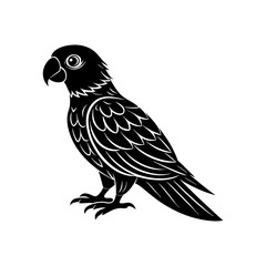 Fototapeta premium silhouette of a parrot vector art