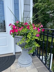 decorative hot pink mandevilla and petunias with trailing ivy out door arrangement