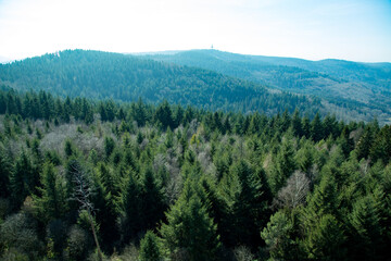 Expansive Panoramic View Over Endless Forested Rolling Hills