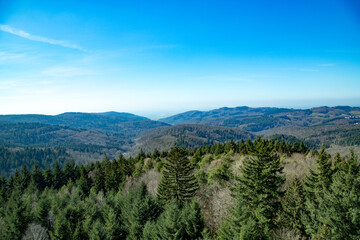 Vast Panorama of Endless Verdant Forested Mountains