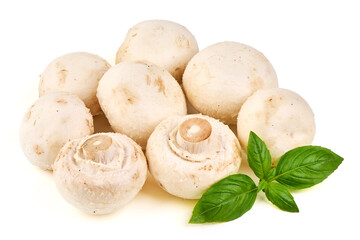 White Mushrooms with Basil Herb, isolated on white background