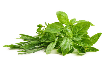 Fresh Basil and Sage Herbs, isolated on white background.