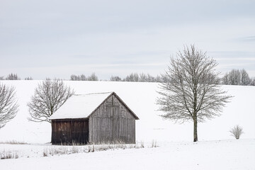 A lonely wooden hut stands in a snowy field, the sky is cloudy in the evening and there are a couple of deciduous trees standing nearby.