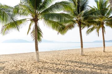 A tropical paradise in resort town of Nha Trang in Asia with palm trees and a sandy beach overlooking a blue sea background with islands. Tropical vacation concept.