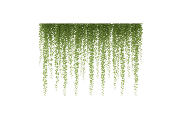 Stylized world map illustration with regional divisions on a white background