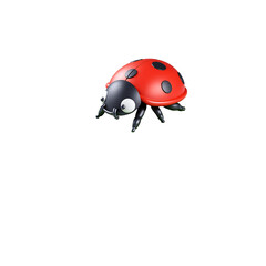 small vibrant red ladybug perches quietly atop curved velvety green leaf soft morning copy