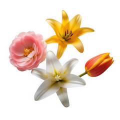 Naklejka premium A delicate arrangement of colorful spring flowers on a black background