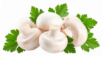 fresh mushrooms on a white background