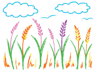 Golden wheat field under a clear blue sky in summer