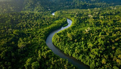Aerial view of a winding river through dense green jungle, untouched and lush wilderness, dramatic lighting and depth