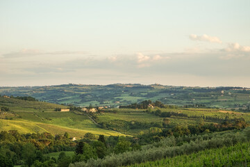 The Evening view of a green authentic valley in the Tuscany region of Italy In the distance, many houses, vineyards and other plants can be seen