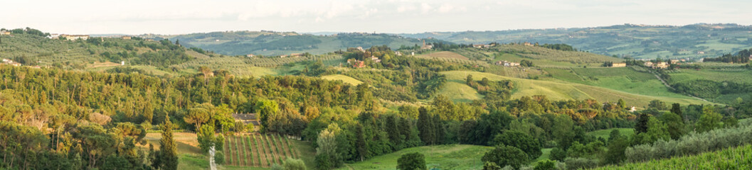 Obraz premium The Evening view of a green authentic valley in the Tuscany region of Italy In the distance, many houses, vineyards and other plants can be seen
