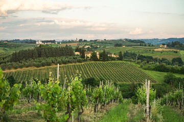 A beautiful countryside with vineyards and a house in the distance