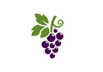 fresh grape fruit vector illustration logo
