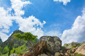 rock in the mountains