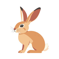 Fototapeta premium Cartoon Rabbit Illustration