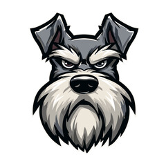 Obraz premium Bold and expressive schnauzer dog illustration showcasing a determined expression and striking features