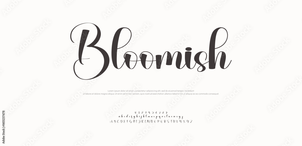 Poster signature font uppercase lowercase and number. calligraphy logotype script brush font type font lett