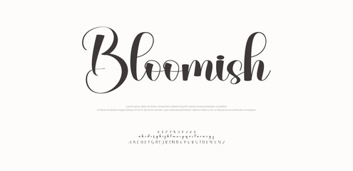 Signature Font Uppercase Lowercase and Number. Calligraphy Logotype Script Brush Font Type Font lettering handwritten. vector illustration 
