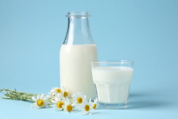 Fresh milk in bottle, glass and chamomile flowers on light blue background, closeup. Dairy products