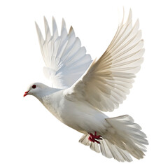 Obraz premium Graceful White Dove in Flight Symbolizing Peace on Transparent Background PNG