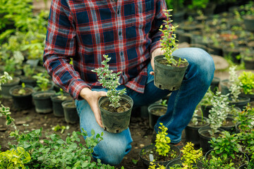 Gardener Holding Young Potted Plants in Nursery Outdoor Plant Care and Gardening Concept