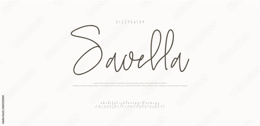 Poster signature font uppercase lowercase and number. calligraphy logotype script brush font type font lett