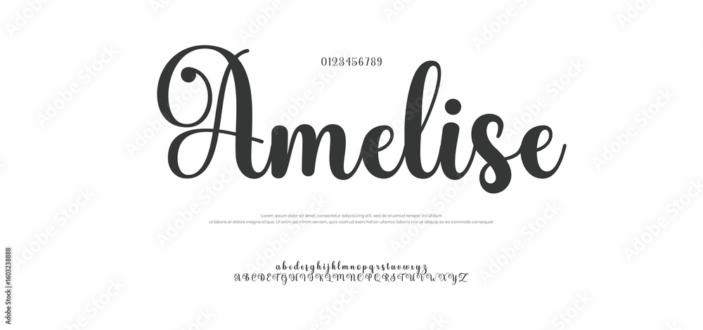 Poster signature font uppercase lowercase and number. calligraphy logotype script brush font type font lett