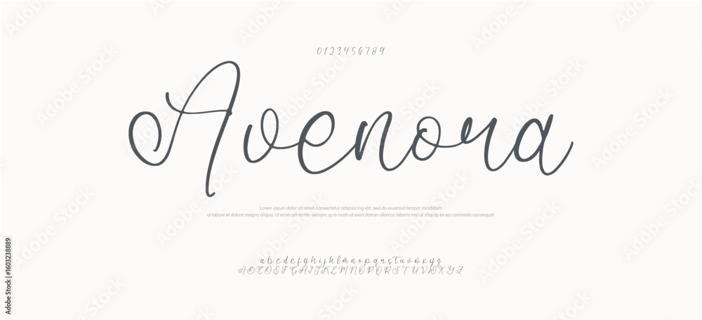 Fototapete hand drawn font uppercase lowercase and number. modern monoline signature script font. elegant signa