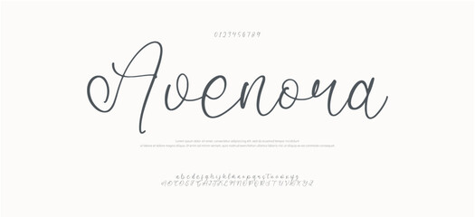 Hand drawn Font Uppercase Lowercase and Number. Modern monoline signature script font. Elegant Signature Font. Best Alphabet Beautiful Calligraphy Signature Font. vector illustration 
