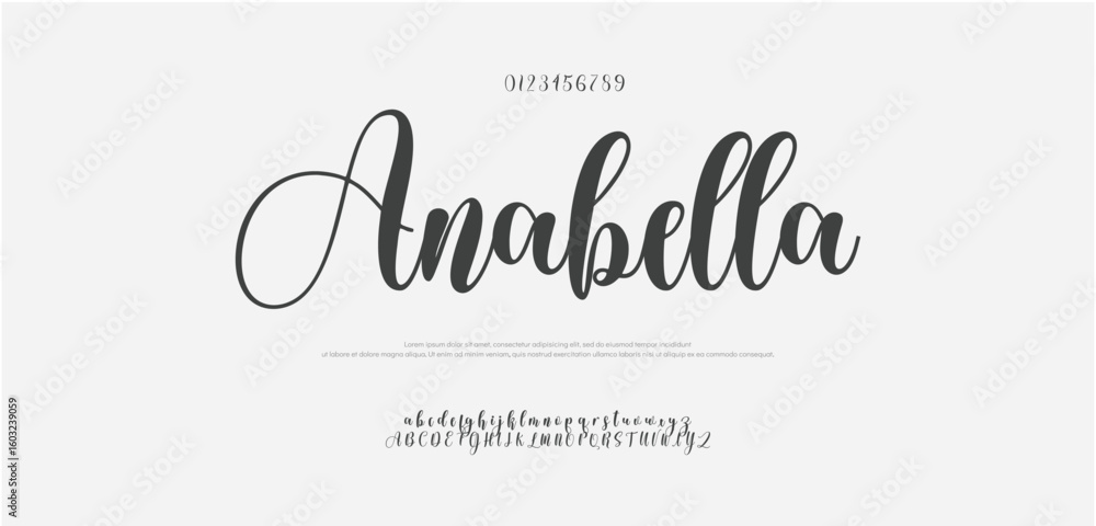 Poster signature font uppercase lowercase and number. calligraphy logotype script brush font type font lett
