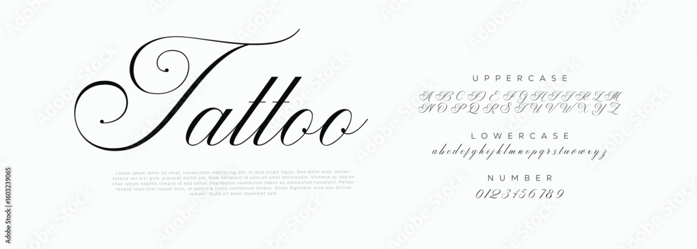 Fototapete hand drawn font uppercase lowercase and number. modern monoline signature script font. elegant signa